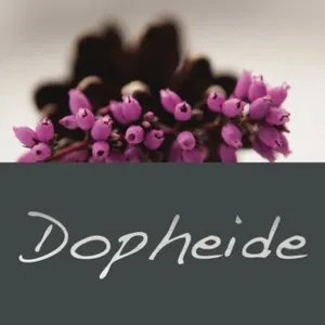 Dopheide