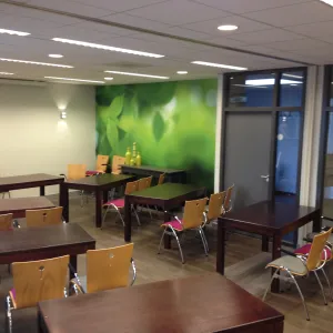 Dopheide en bladgroen