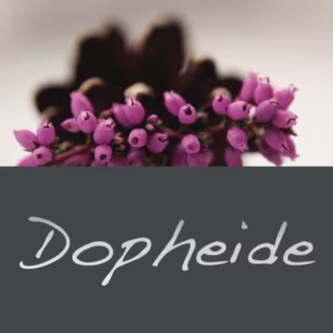 Dopheide